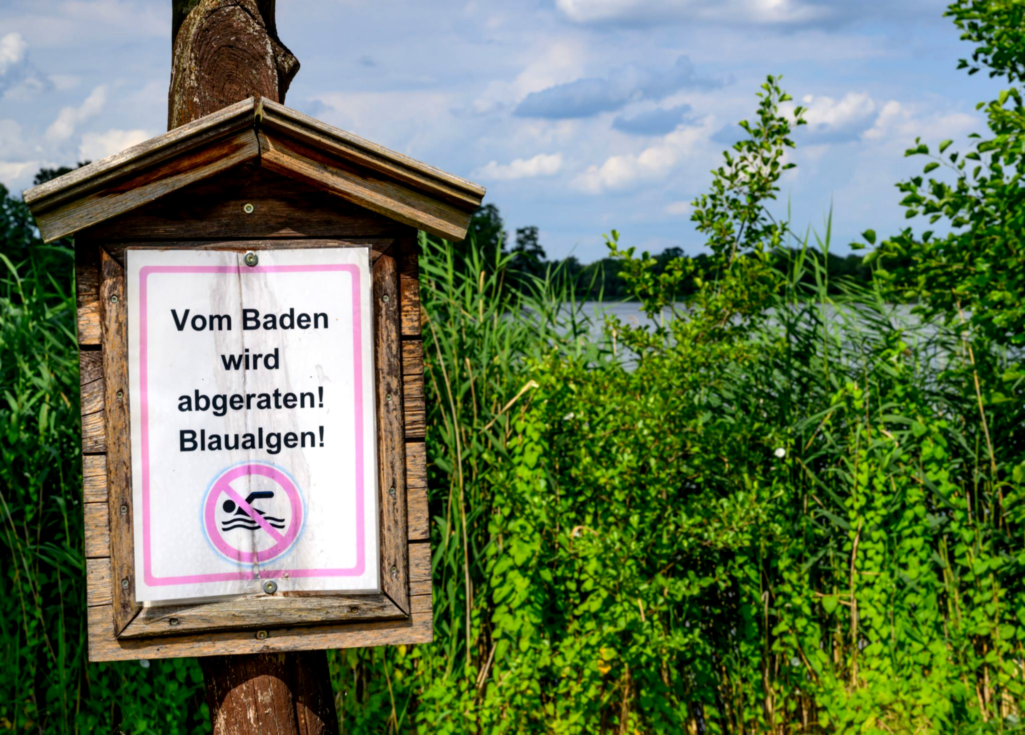 Badende genießen klares, sicheres Wasser.