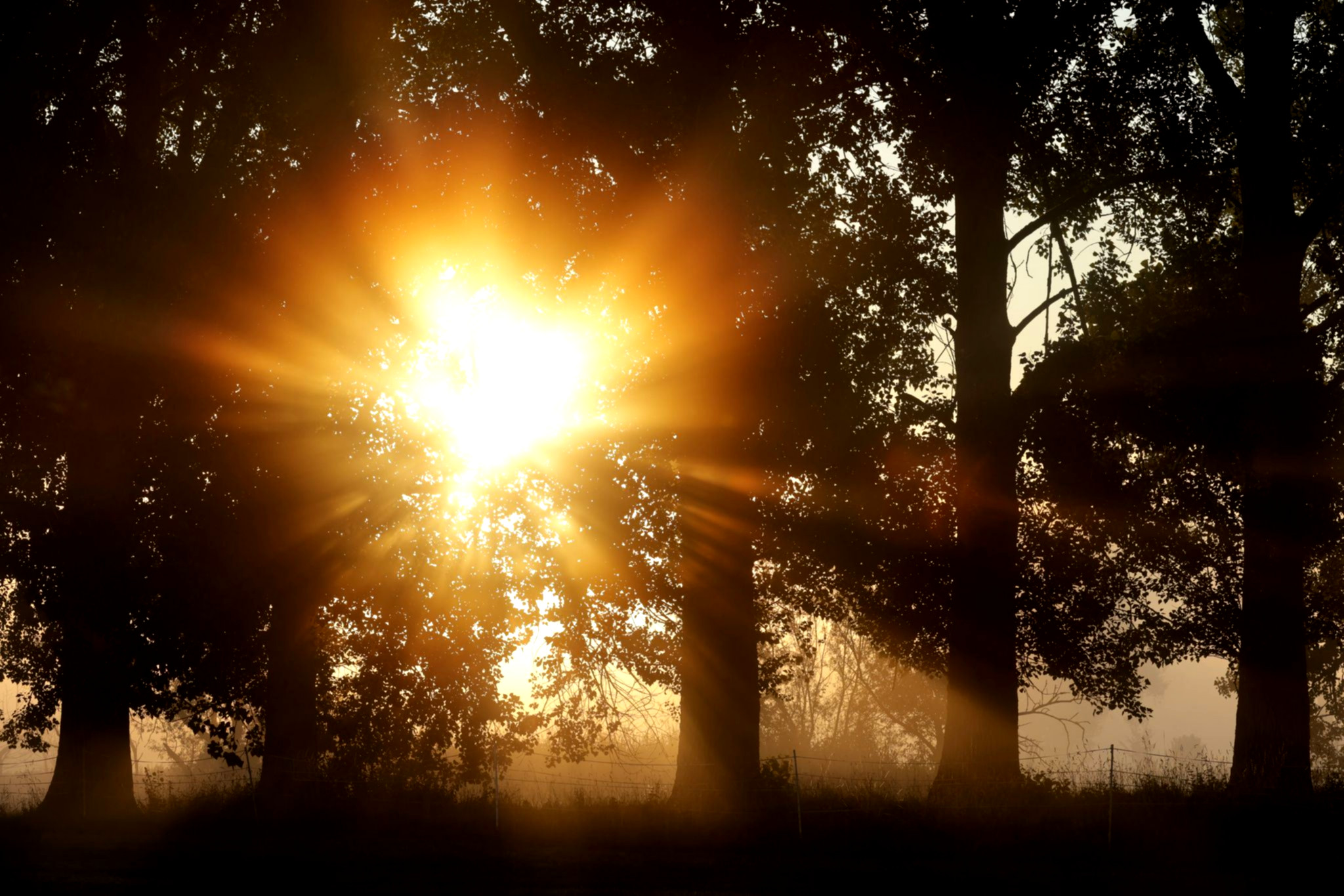 Sonne brennt auf Südwestdeutschland nieder.