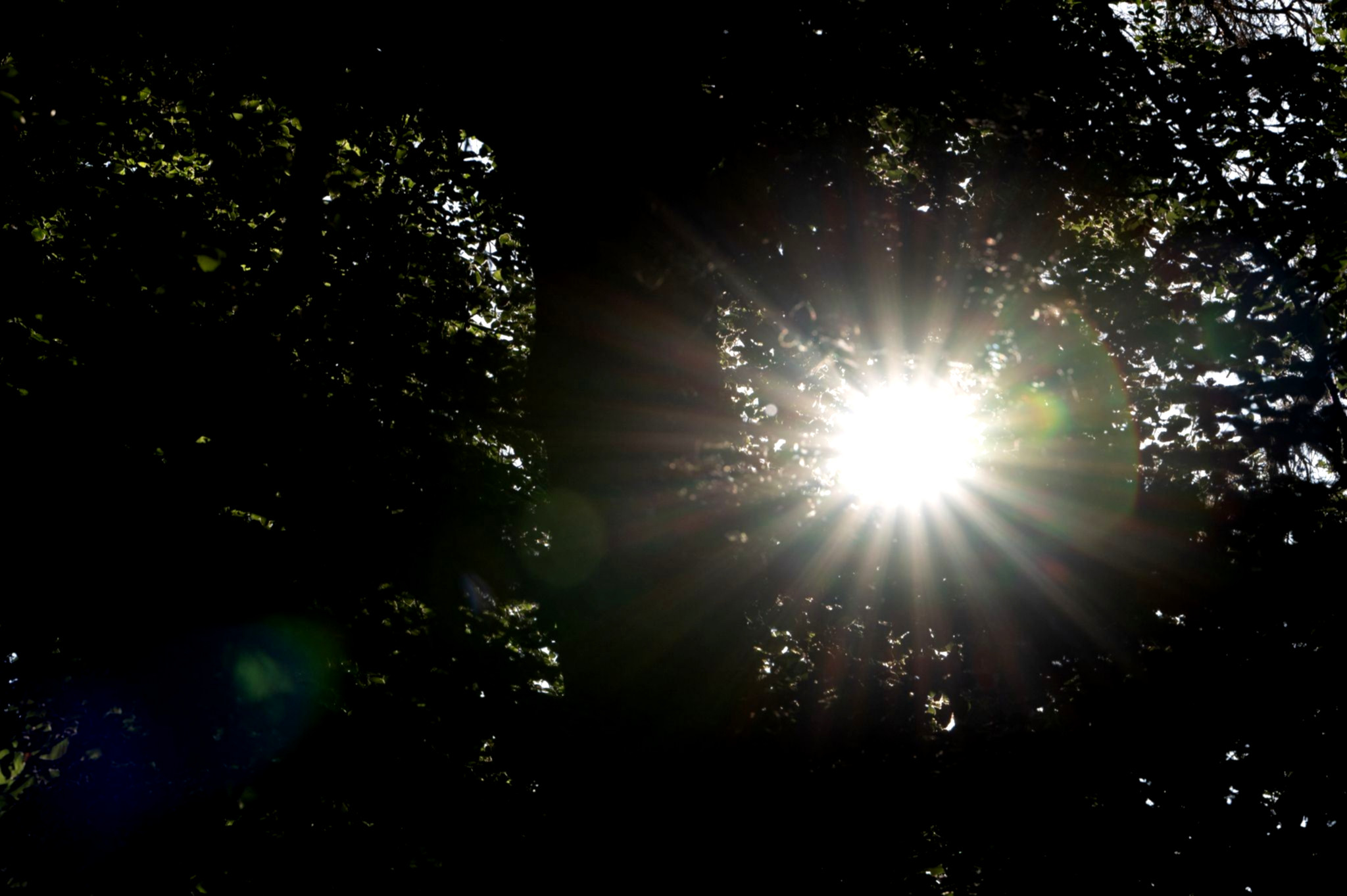 Sonne, Wolken und milde Temperaturen.